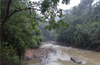Green Bench stays felling of trees for Yettinahole Project